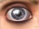 49_jpg * xat.com Image Optimizer * 1024 x 768 * (75KB)