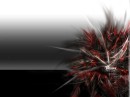shadowness94 * xat.com Image Optimizer * 1024 x 768 * (92KB)