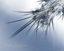 thecyclone * xat.com Image Optimizer * 960 x 768 * (182KB)