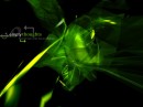 twistedinstinct * xat.com Image Optimizer * 1024 x 768 * (132KB)