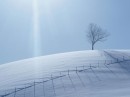 Snow_Scenery_06 * xat.com Image Optimizer * 1024 x 768 * (65KB)