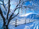 Snow_Scenery_10 * xat.com Image Optimizer * 1024 x 768 * (125KB)
