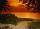 paradise1 * 1024 x 768 * (126KB)