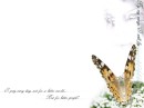 pioca21 * xat.com Image Optimizer * 1024 x 768 * (55KB)